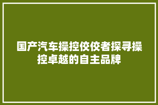 国产汽车操控佼佼者探寻操控卓越的自主品牌