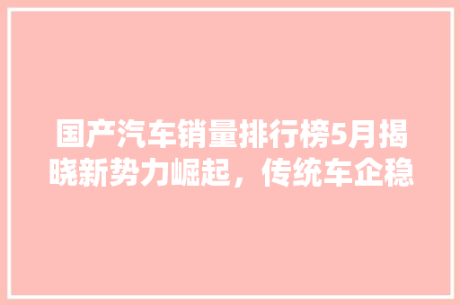 国产汽车销量排行榜5月揭晓新势力崛起，传统车企稳扎稳打