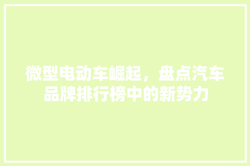 微型电动车崛起，盘点汽车品牌排行榜中的新势力
