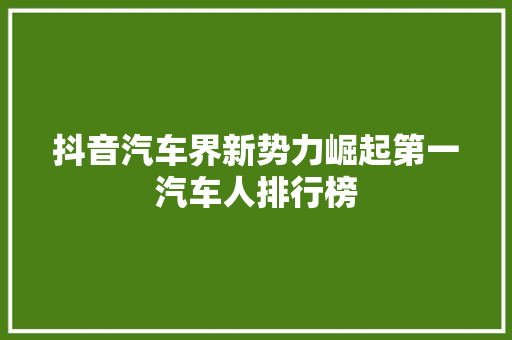 抖音汽车界新势力崛起第一汽车人排行榜
