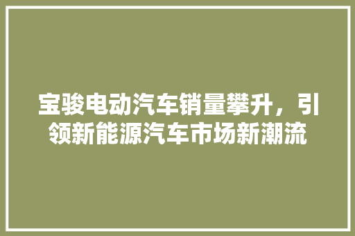 宝骏电动汽车销量攀升，引领新能源汽车市场新潮流