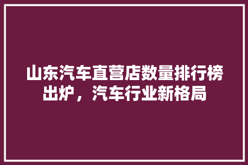 山东汽车直营店数量排行榜出炉，汽车行业新格局