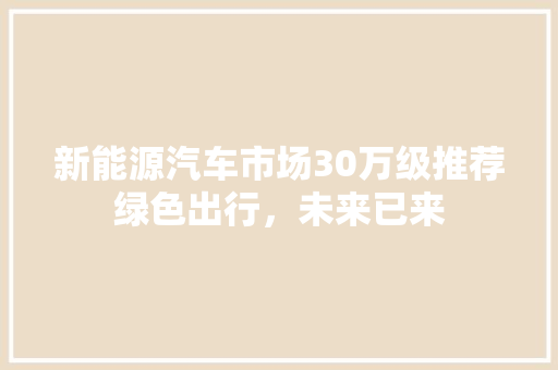 新能源汽车市场30万级推荐绿色出行，未来已来