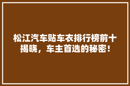 松江汽车贴车衣排行榜前十揭晓，车主首选的秘密！