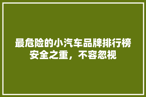 最危险的小汽车品牌排行榜安全之重，不容忽视