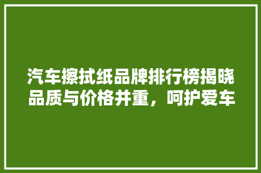 汽车擦拭纸品牌排行榜揭晓品质与价格并重，呵护爱车从细节开始