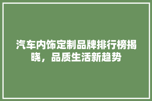 汽车内饰定制品牌排行榜揭晓，品质生活新趋势