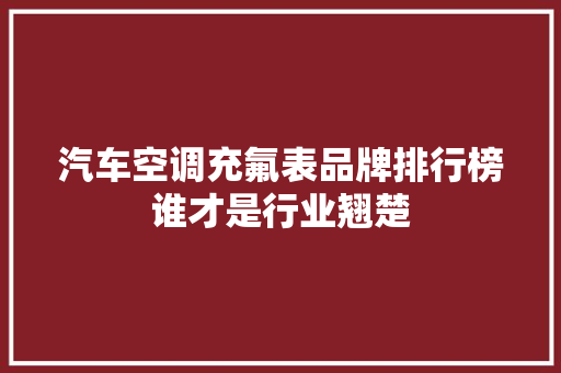 汽车空调充氟表品牌排行榜谁才是行业翘楚