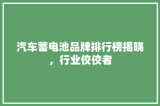 汽车蓄电池品牌排行榜揭晓，行业佼佼者