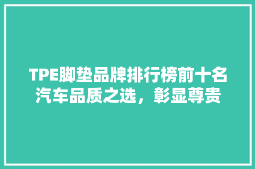 TPE脚垫品牌排行榜前十名汽车品质之选，彰显尊贵