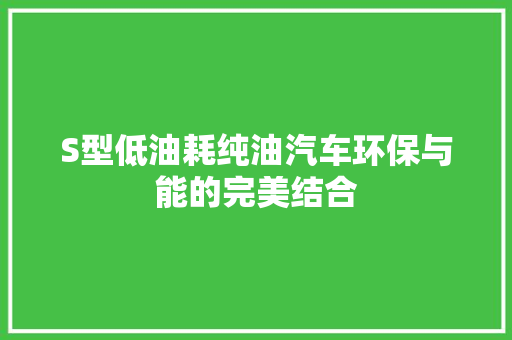 S型低油耗纯油汽车环保与能的完美结合