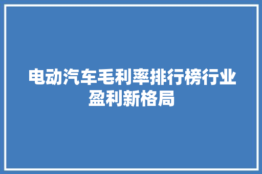 电动汽车毛利率排行榜行业盈利新格局