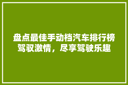 盘点最佳手动档汽车排行榜驾驭激情，尽享驾驶乐趣