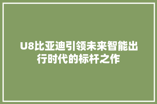 U8比亚迪引领未来智能出行时代的标杆之作