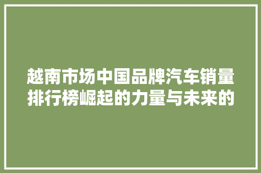 越南市场中国品牌汽车销量排行榜崛起的力量与未来的展望