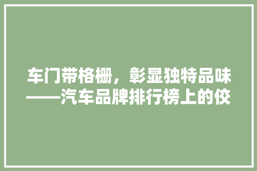 车门带格栅，彰显独特品味——汽车品牌排行榜上的佼佼者