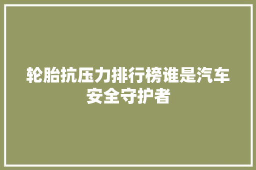 轮胎抗压力排行榜谁是汽车安全守护者