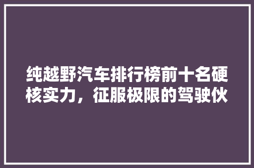 纯越野汽车排行榜前十名硬核实力，征服极限的驾驶伙伴