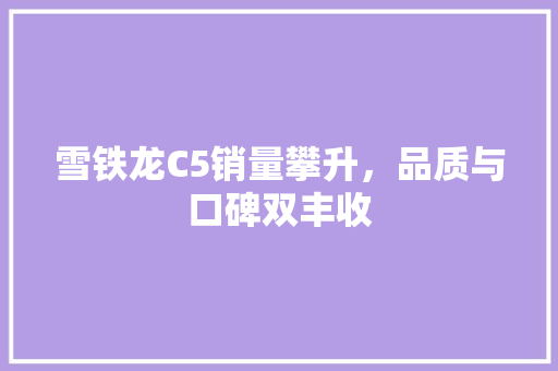 雪铁龙C5销量攀升，品质与口碑双丰收