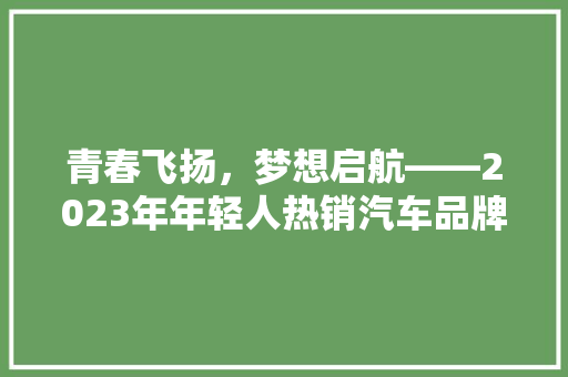 青春飞扬，梦想启航——2023年年轻人热销汽车品牌排行榜
