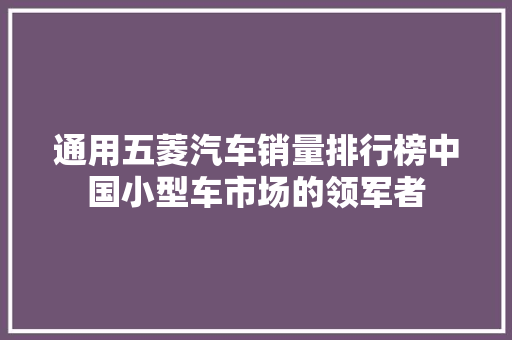 通用五菱汽车销量排行榜中国小型车市场的领军者