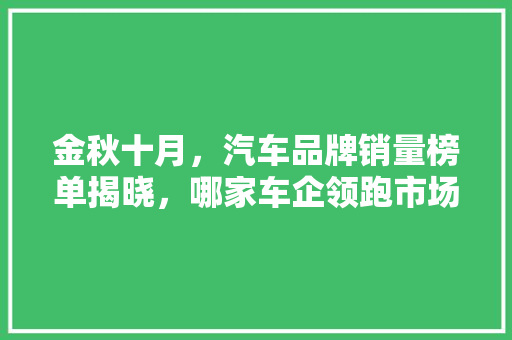 金秋十月，汽车品牌销量榜单揭晓，哪家车企领跑市场