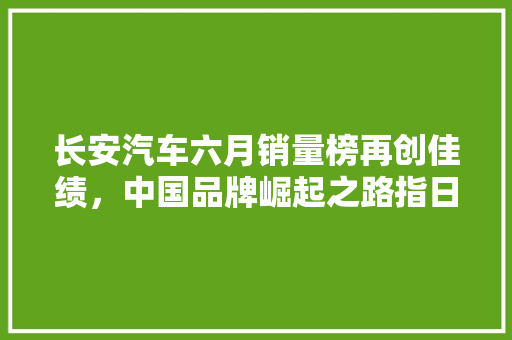 长安汽车六月销量榜再创佳绩，中国品牌崛起之路指日可待