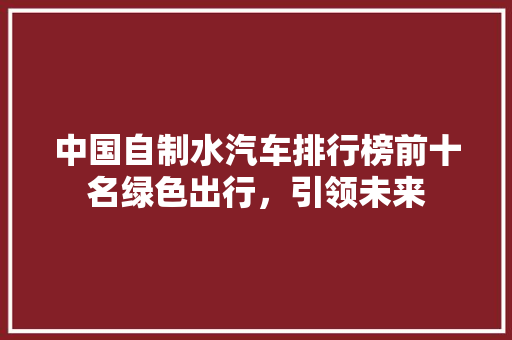 中国自制水汽车排行榜前十名绿色出行，引领未来