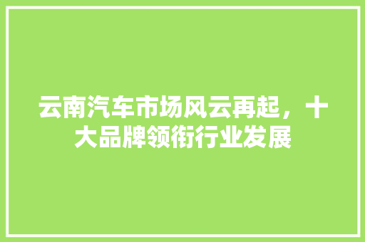 云南汽车市场风云再起，十大品牌领衔行业发展