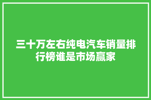 三十万左右纯电汽车销量排行榜谁是市场赢家