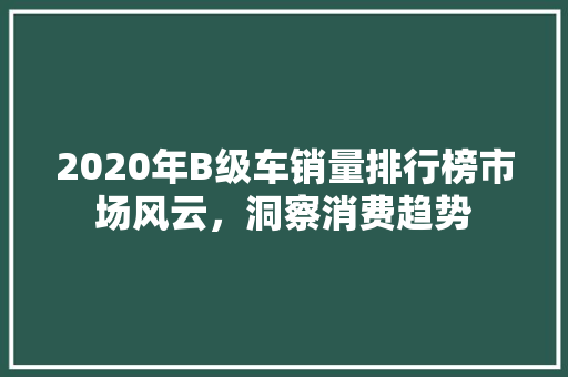 2020年B级车销量排行榜市场风云，洞察消费趋势