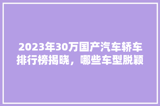 2023年30万国产汽车轿车排行榜揭晓，哪些车型脱颖而出