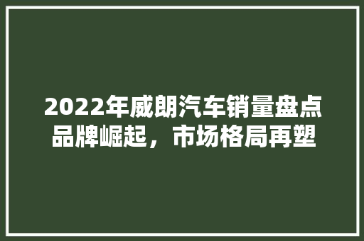 2022年威朗汽车销量盘点品牌崛起，市场格局再塑