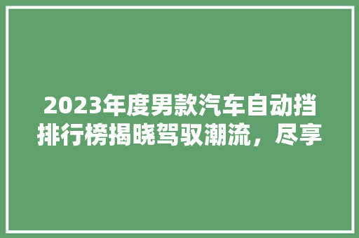 2023年度男款汽车自动挡排行榜揭晓驾驭潮流，尽享速度与激情
