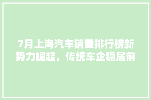 7月上海汽车销量排行榜新势力崛起，传统车企稳居前列