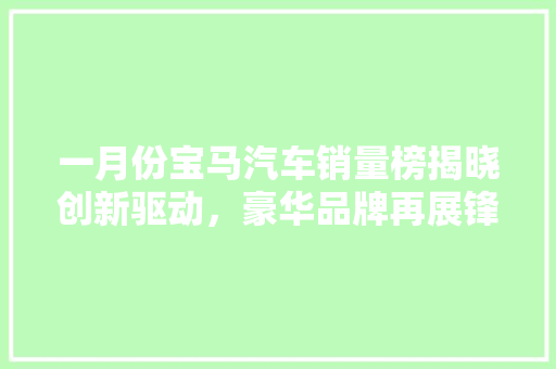 一月份宝马汽车销量榜揭晓创新驱动，豪华品牌再展锋芒