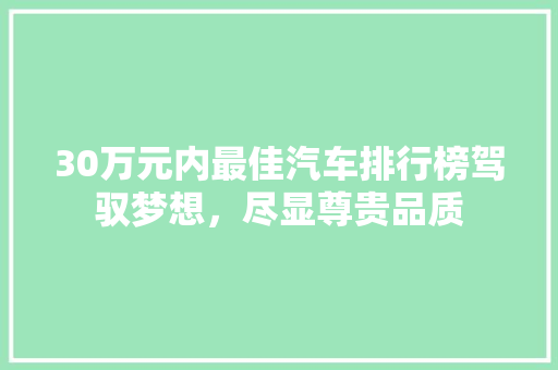 30万元内最佳汽车排行榜驾驭梦想，尽显尊贵品质