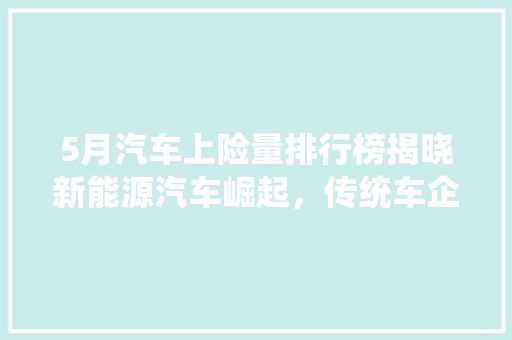 5月汽车上险量排行榜揭晓新能源汽车崛起，传统车企面临挑战