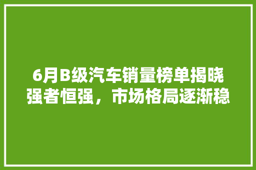 6月B级汽车销量榜单揭晓强者恒强，市场格局逐渐稳定