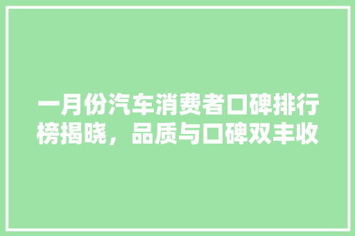 一月份汽车消费者口碑排行榜揭晓，品质与口碑双丰收车型盘点