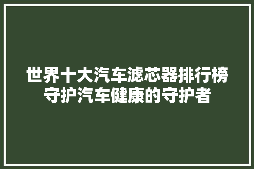 世界十大汽车滤芯器排行榜守护汽车健康的守护者