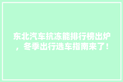 东北汽车抗冻能排行榜出炉，冬季出行选车指南来了！