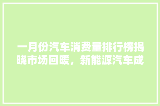 一月份汽车消费量排行榜揭晓市场回暖，新能源汽车成新宠