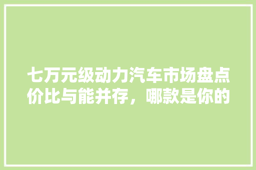 七万元级动力汽车市场盘点价比与能并存，哪款是你的菜