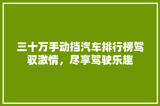 三十万手动挡汽车排行榜驾驭激情，尽享驾驶乐趣