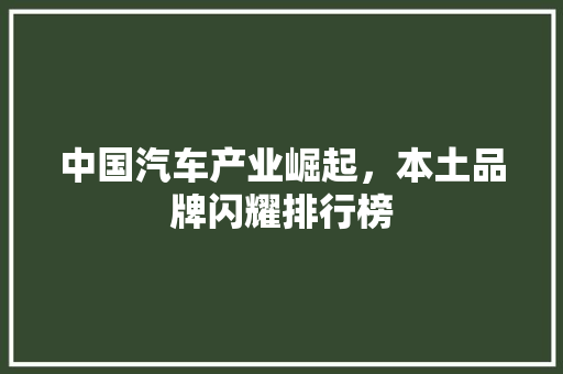 中国汽车产业崛起，本土品牌闪耀排行榜