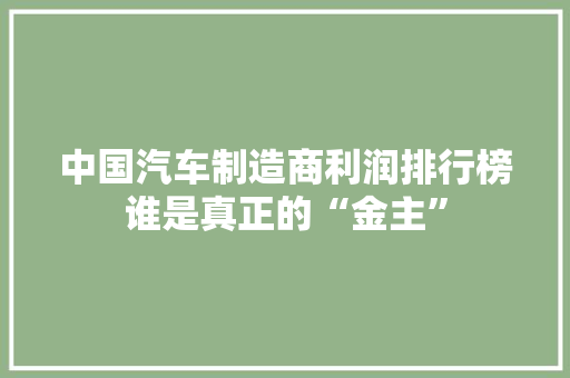 中国汽车制造商利润排行榜谁是真正的“金主”