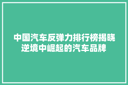 中国汽车反弹力排行榜揭晓逆境中崛起的汽车品牌