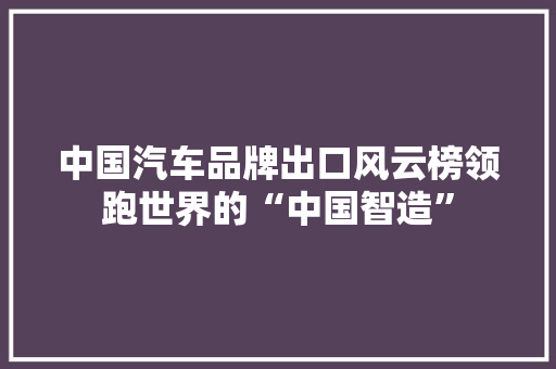 中国汽车品牌出口风云榜领跑世界的“中国智造”