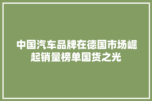 中国汽车品牌在德国市场崛起销量榜单国货之光